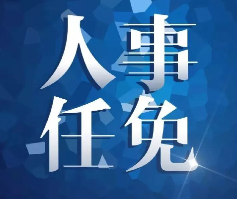 哈電集團(tuán)董事長(zhǎng)、黨委書記調(diào)整