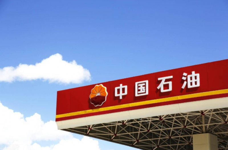 中國石油集團(tuán)董事長戴厚良會見厄瓜多爾能礦部副部長費(fèi)雷拉